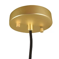 Hello Honey® Smoked Embossed Glass Shade Pendant Lamp with Brass Accents