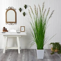 6.25ft. Grass Plant in White Metal Planter