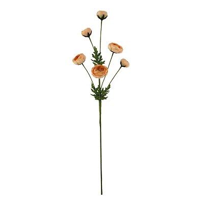 32" Ranunculus Stem with Leaves by Ashland