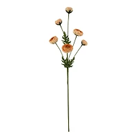 32" Ranunculus Stem with Leaves by Ashland