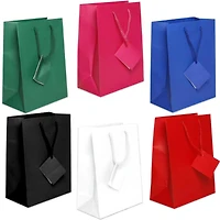 JAM Paper Assorted Medium Matte Gift Bags with Rope Handles, 6ct.