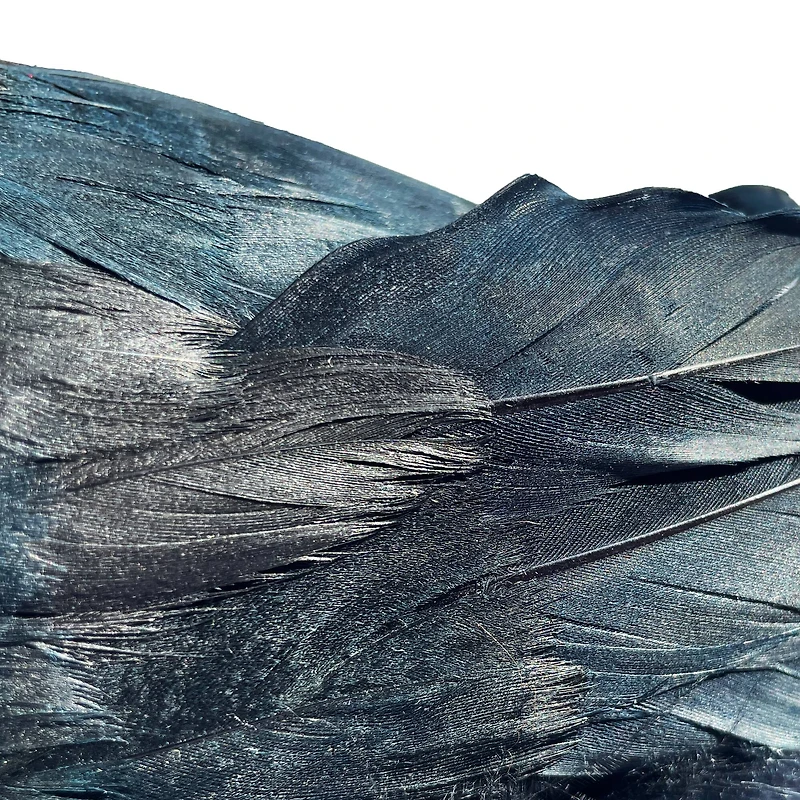 7.5" Iridescent Black Crow by Ashland®