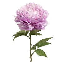 28.5" Violet Peony Stem by Ashland®