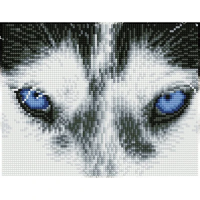 Diamond Dotz® Intermediate Mystic Husky Pre-Framed Diamond Painting Kit