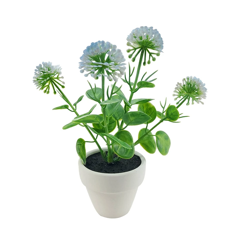 Assorted Micro Plant, 1pc. by Ashland®