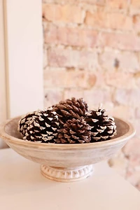 Snowy White Pinecones by Ashland®
