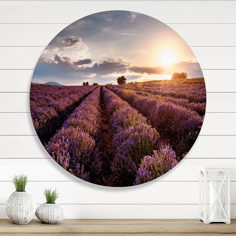 Designart - Sunrise & Dramatic Clouds Over Lavender Field V