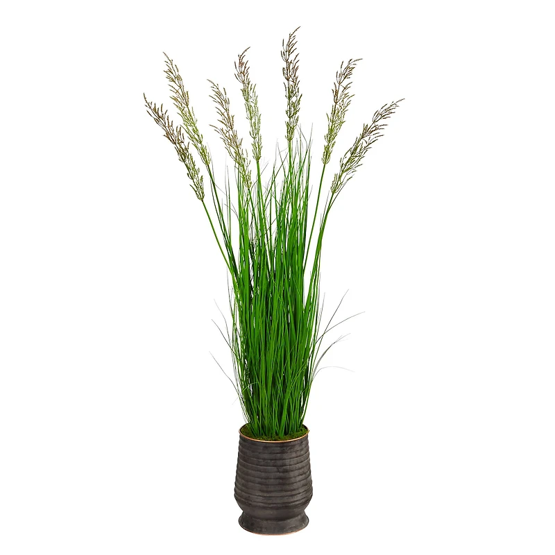 5ft. Wheat Grass Plant in Ribbed Metal Planter