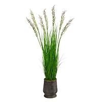 5ft. Wheat Grass Plant in Ribbed Metal Planter