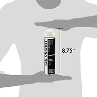COLORSHOT® Blackout Matte Spray Paint