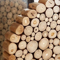 24" Natural Brown Teak Wood Abstract Sculpture