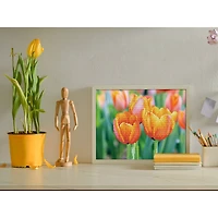 Diamond Dotz® Love Tulips Diamond Painting Kit