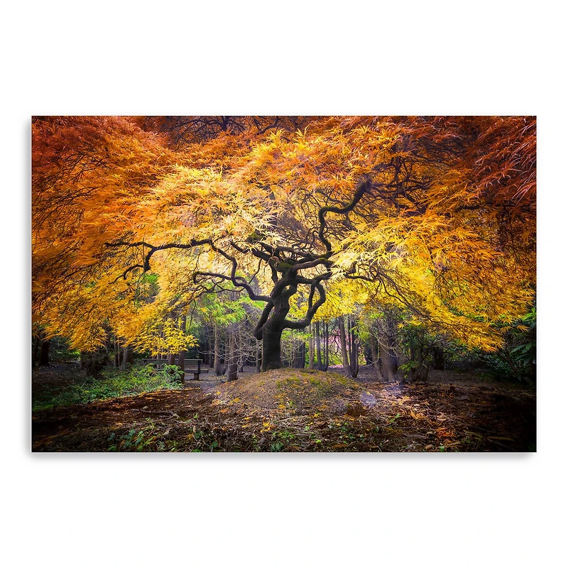 Hidden Jewel Canvas Giclee