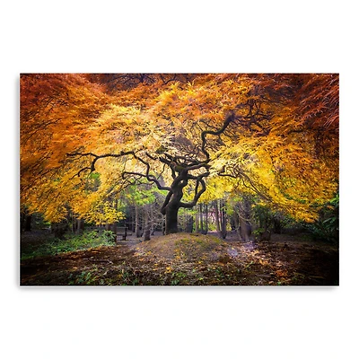 Hidden Jewel Canvas Giclee