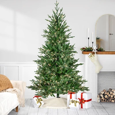 6ft. Pre-Lit Grande Spruce Medium Artificial Christmas Tree, Clear Lights