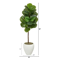 4.5ft. Fiddle Leaf Fig Tree in White Planter