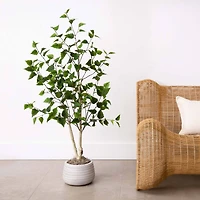 4ft. Potted Green Artificial Birch Tree with Real Touch Leaves
