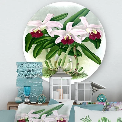 Designart - Vintage White Orchid Flower I