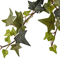 Star Ivy Bush by Ashland®
