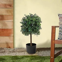 2ft. Boxwood Single Ball Topiary With Multi-Function LED Lights