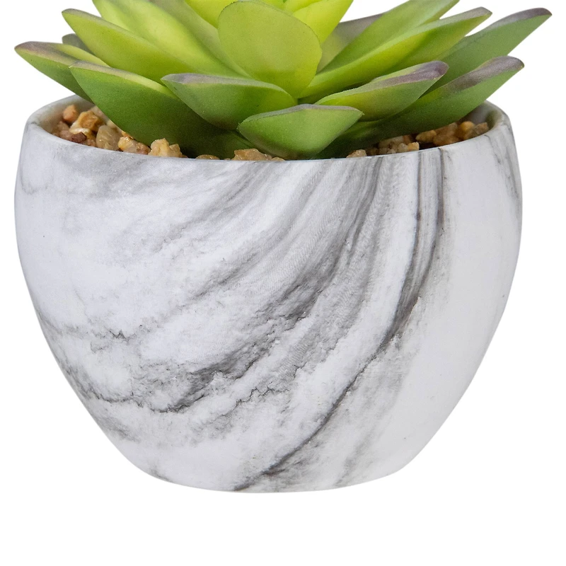 4" Green & Purple Succulent in Faux Marble Pot