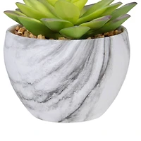 4" Green & Purple Succulent in Faux Marble Pot