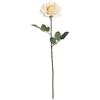 26" Rose Stem by Ashland