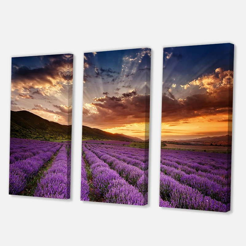 Designart - Sunrise & Dramatic Clouds Over Lavender Field X