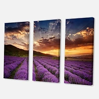 Designart - Sunrise & Dramatic Clouds Over Lavender Field X