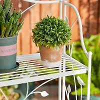 Glitzhome® Rectangular 3-Tiered Metal Shelf Planter Stand
