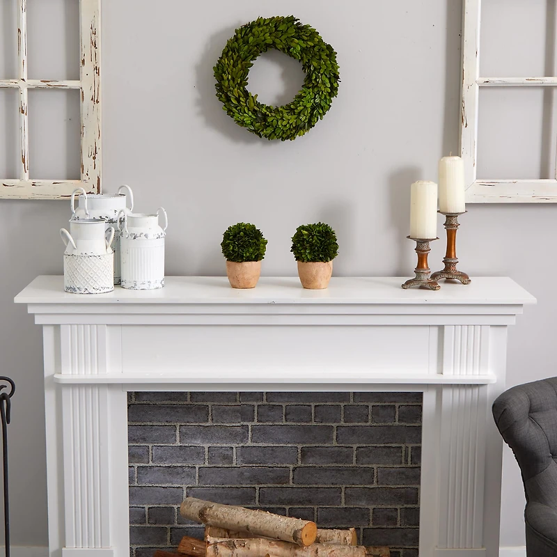 14'' Green Preserved Boxwood Wreath