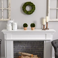 14'' Green Preserved Boxwood Wreath