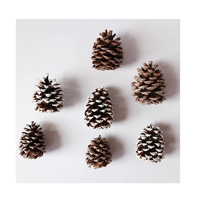 Snowy White Pinecones by Ashland®