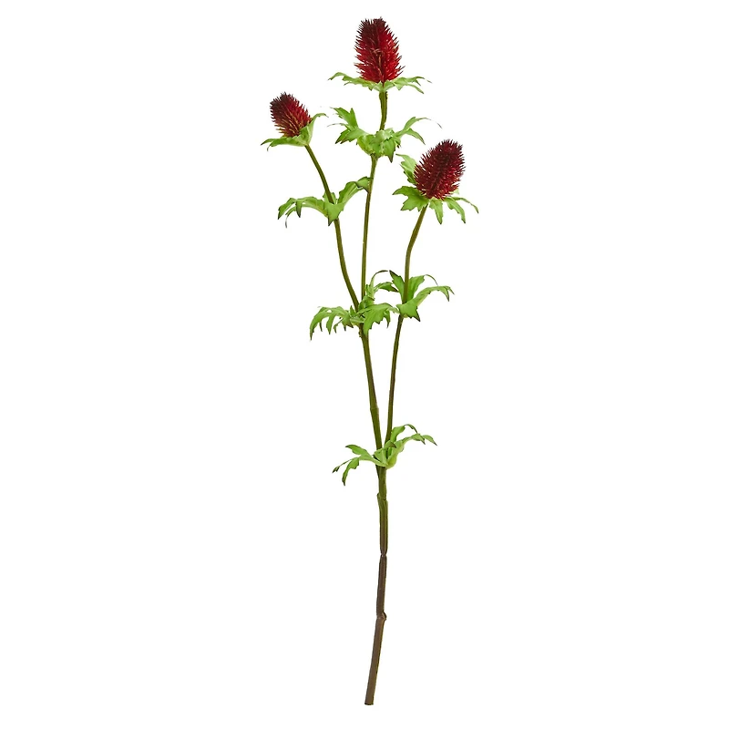 Red Thistle Spray, 12ct.