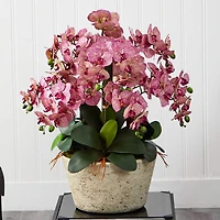 3ft. Moth Orchid Arrangement in White Vase