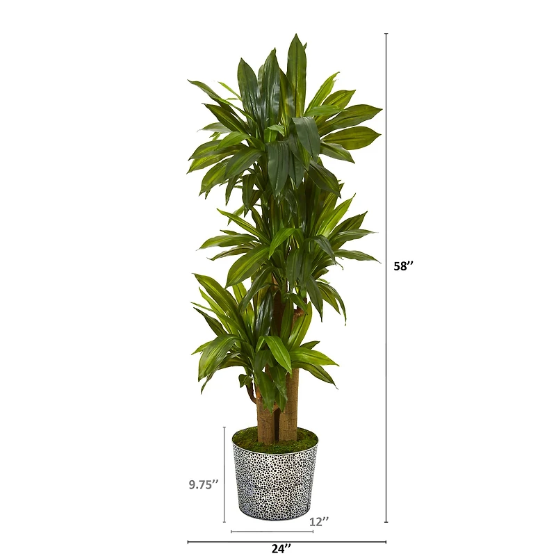 4.5ft. Corn Stalk Dracaena in Black Embossed Tin Planter