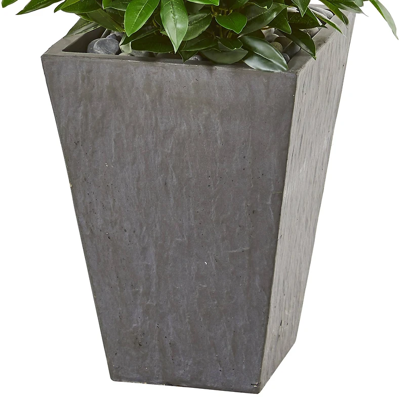 4.7ft. UV Resistant Bay Leaf Cone Topiary Tree in Slate Planter