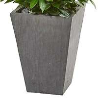 4.7ft. UV Resistant Bay Leaf Cone Topiary Tree in Slate Planter