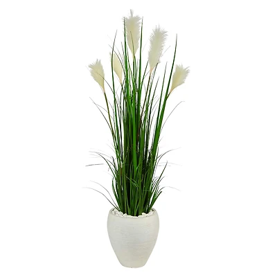 4.5ft. Wheat Plume Grass Plant in White Planter