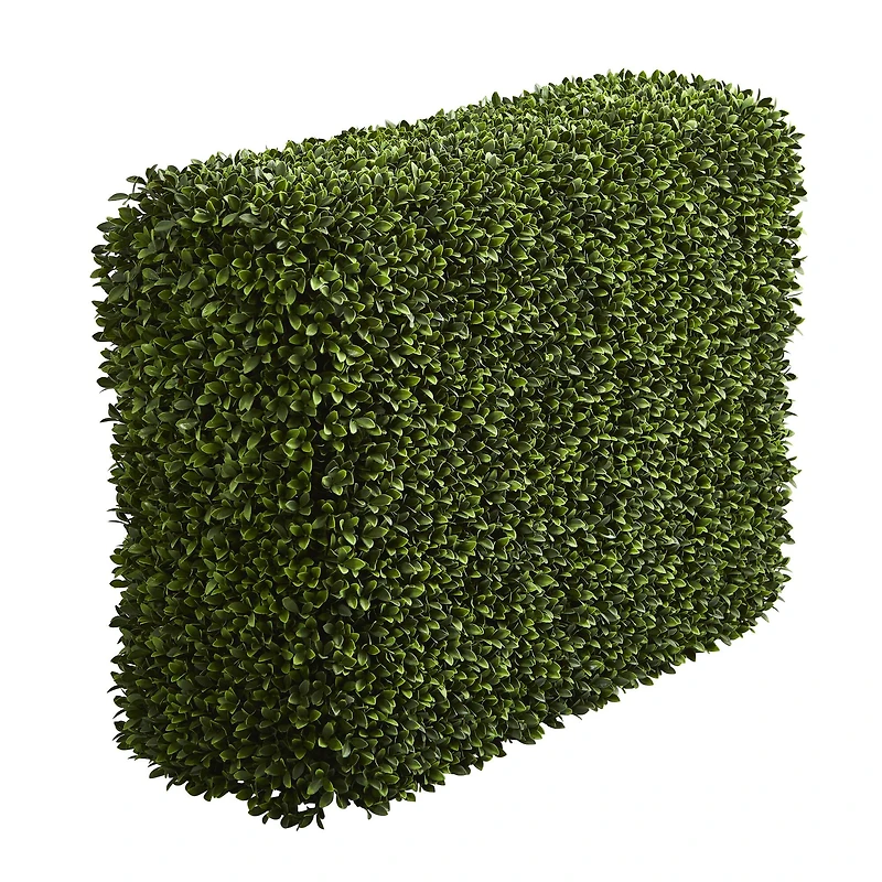 3.5ft. Boxwood Hedge