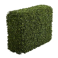 3.5ft. Boxwood Hedge