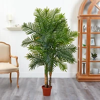 5ft. Potted Areca Palm Tree