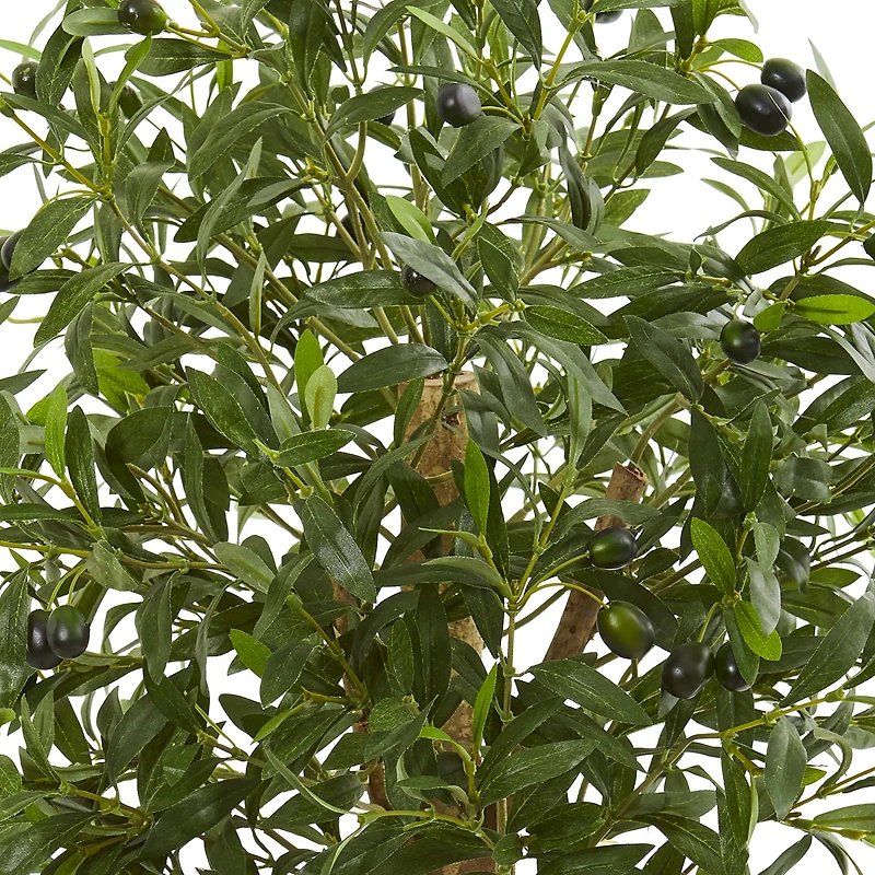 3ft. Olive Tree in Terracotta Planter