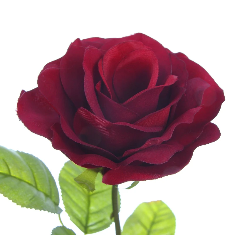 Burgundy Holland Rose Stem by Ashland®