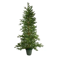 6ft. Unlit Real Touch™️ Noble Pine Artificial Potted Christmas Tree in Green Pot
