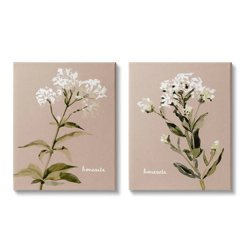 Stupell Industries White Boneset Flowers Soft Green White Brown Canvas Wall Art