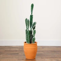 3ft. Cactus in Terracotta Planter