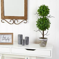 24" Potted Eucalyptus Double Ball Topiary Tree