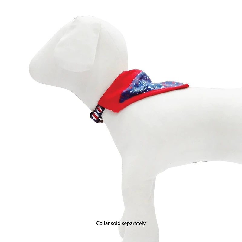 Best Furry Friends Patriotic Bandana Slides
