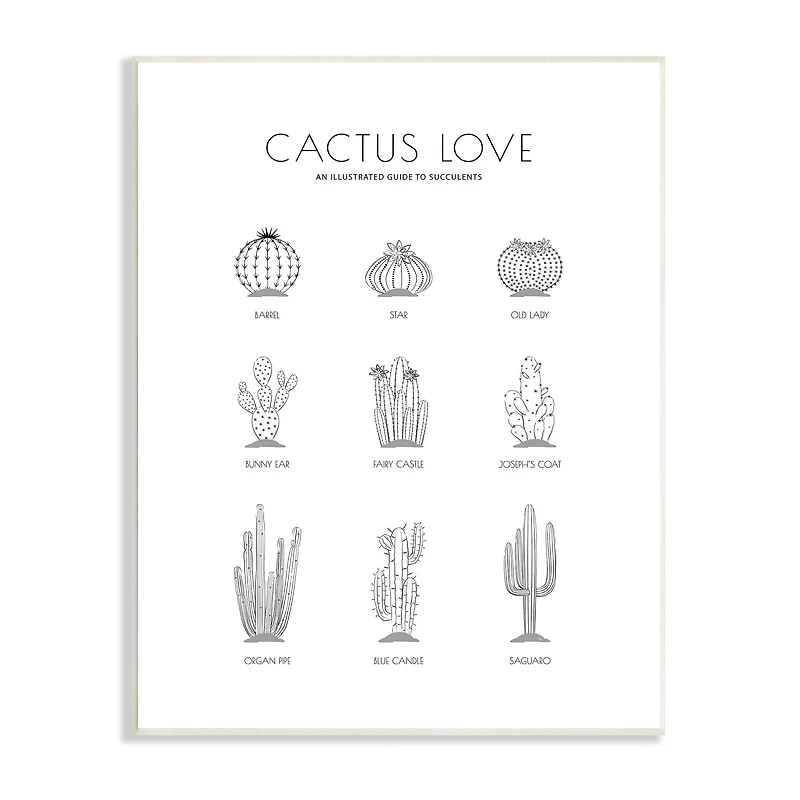 Stupell Industries Illustrated Guide to Succulents Minimal Modern Cactus Plant Wall Plaque